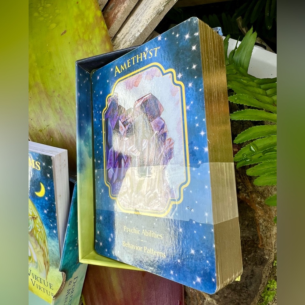 Angel Dreams Oracle Cards & Guidebook β Doreen Virtue & Melissa Virtue - Picture 13 of 15